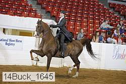 14buck_1645 proof
