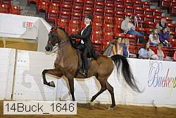 14buck_1646 proof