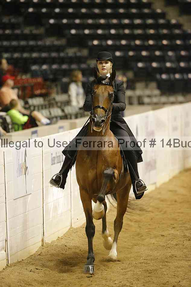 Proof 14buck_1647