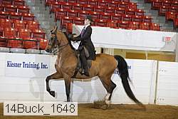 14buck_1648 proof