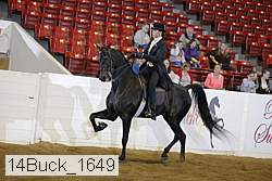 14buck_1649 proof