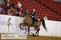14buck_1650 proof