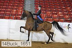 14buck_1651 proof