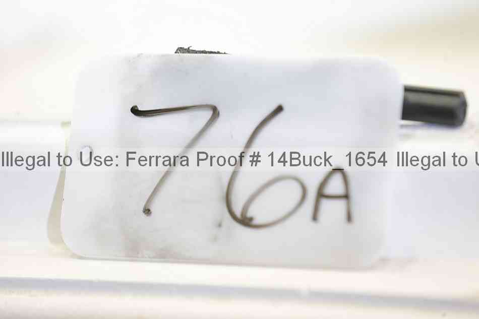 Proof 14buck_1654