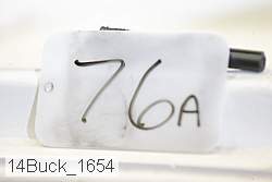 14buck_1654 proof