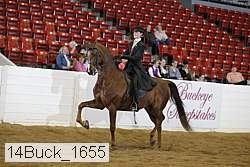 14buck_1655 proof