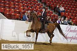 14buck_1657 proof