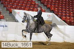 14buck_1661 proof