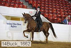 14buck_1662 proof