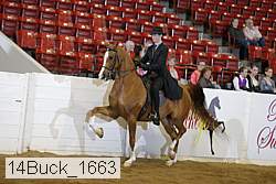 14buck_1663 proof