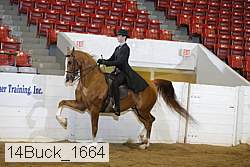 14buck_1664 proof