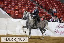 14buck_1667 proof