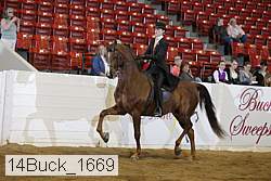 14buck_1669 proof