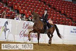 14buck_1670 proof