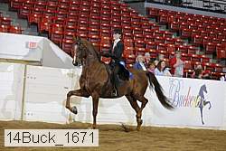14buck_1671 proof