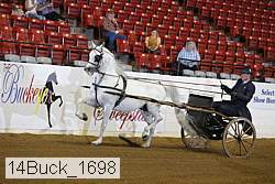 14buck_1698 proof