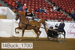 14buck_1700 proof
