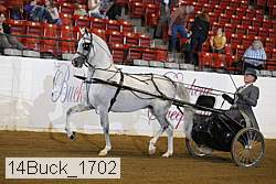 14buck_1702 proof