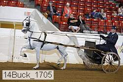 14buck_1705 proof