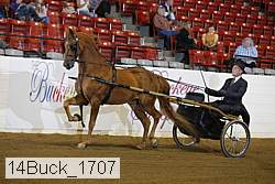 14buck_1707 proof