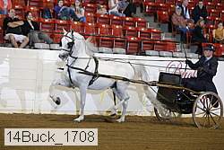 14buck_1708 proof