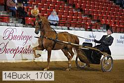 14buck_1709 proof