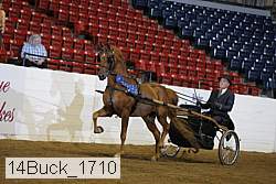 14buck_1710 proof