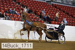 14buck_1711 proof
