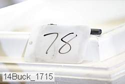 14buck_1715 proof