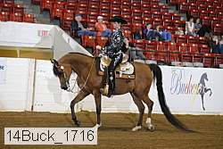 14buck_1716 proof