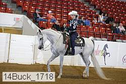 14buck_1718 proof