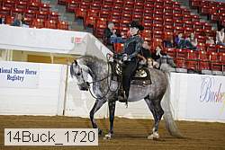 14buck_1720 proof