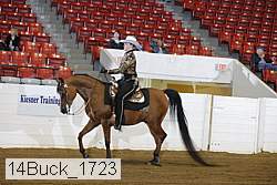 14buck_1723 proof