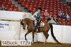 14buck_1729 proof
