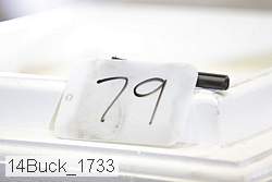 14buck_1733 proof