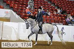 14buck_1734 proof