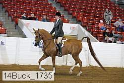14buck_1735 proof