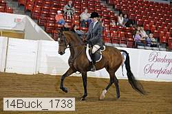 14buck_1738 proof