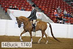 14buck_1740 proof