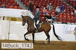 14buck_1742 proof