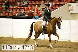 14buck_1743 proof