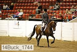 14buck_1744 proof