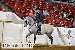 14buck_1746 proof