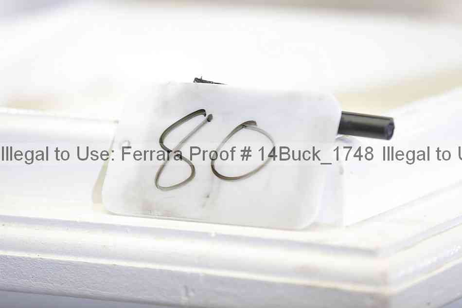 Proof 14buck_1748