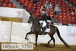 14buck_1750 proof