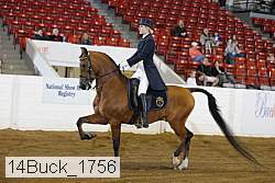 14buck_1756 proof