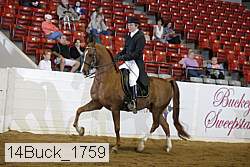 14buck_1759 proof
