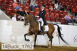 14buck_1762 proof