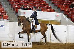 14buck_1763 proof