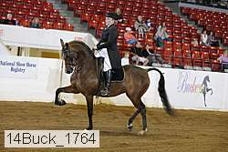 14buck_1764 proof
